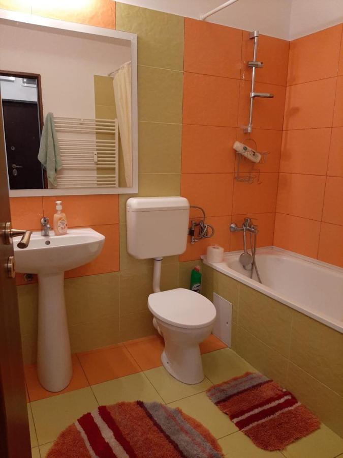 Arad Chic Apartament Uta エクステリア 写真